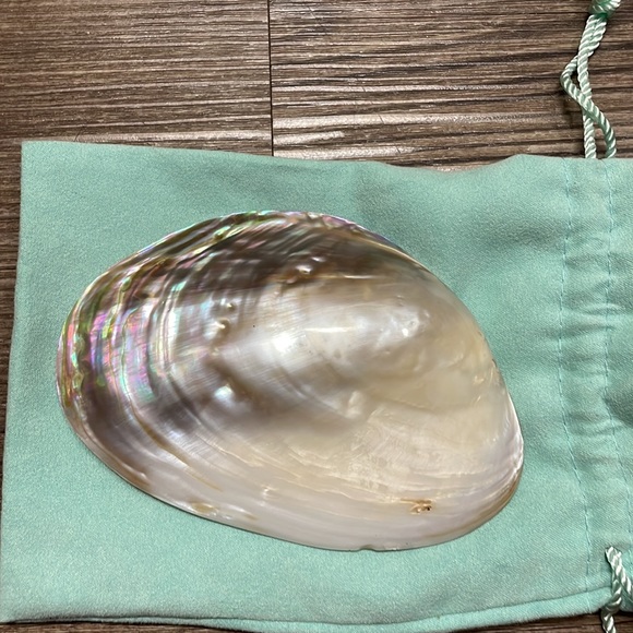 Large Shell Belt Buckle - Picture 4 of 9